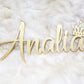 Nursery Name with crown